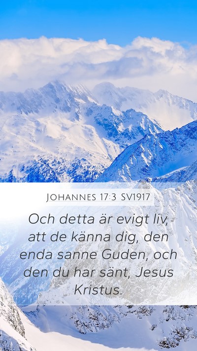 Johannes 17:3 SV1917 Bible Verse Image