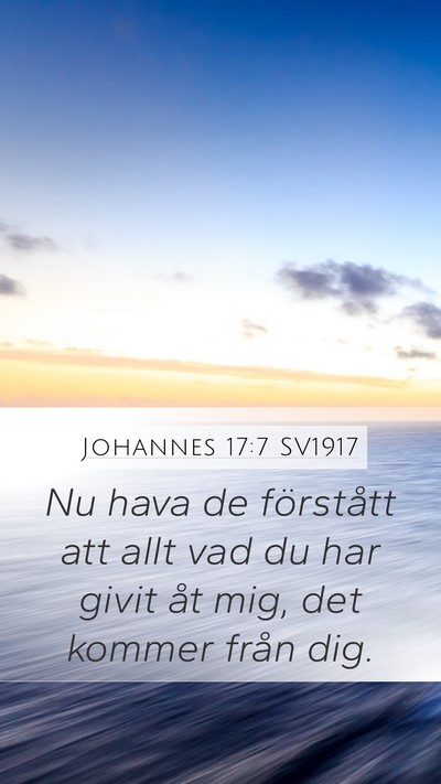 Johannes 17:7 SV1917 Mobile Phone Wallpaper - Nu hava de förstått att allt vad du har givit - Mobile Bible Verse Wallpaper