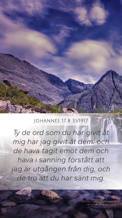 Johannes 17:8 SV1917 Bible Verse Image