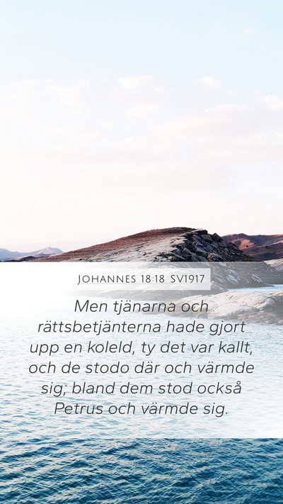 Johannes 18:18 SV1917 Bible Verse Image