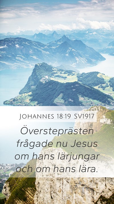 Johannes 18:19 SV1917 Bible Verse Image