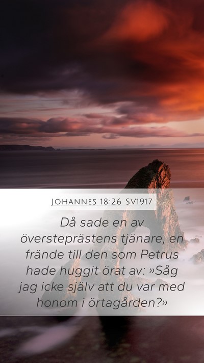 Johannes 18:26 SV1917 Bible Verse Image