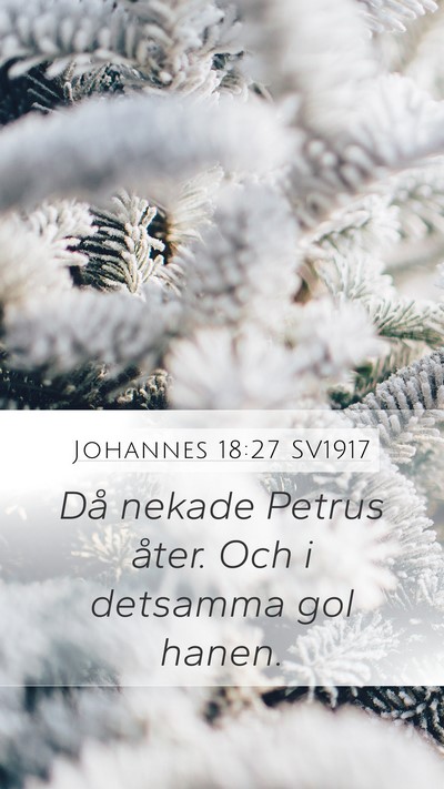 Johannes 18:27 SV1917 Bible Verse Image