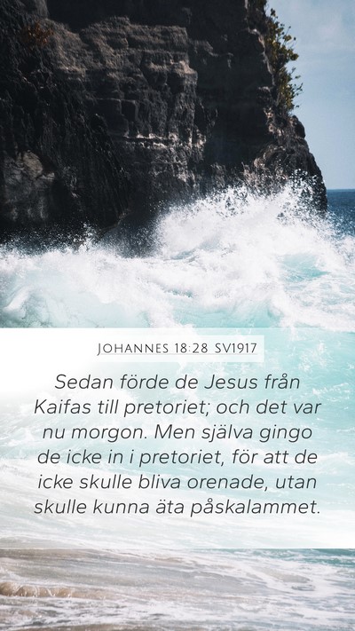 Johannes 18:28 SV1917 Bible Verse Image