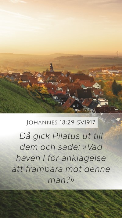 Johannes 18:29 SV1917 Bible Verse Image