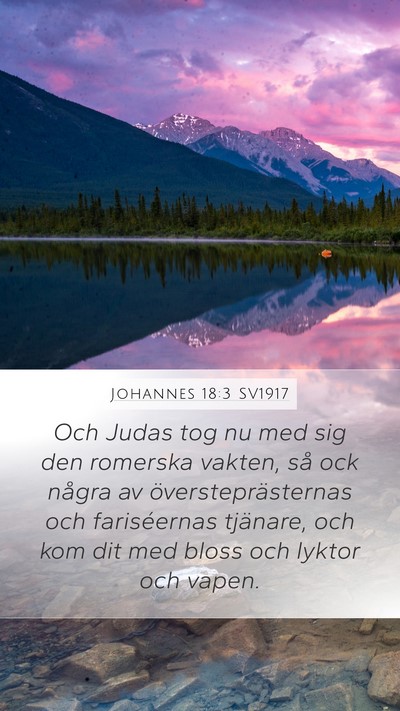 Johannes 18:3 SV1917 Bible Verse Image