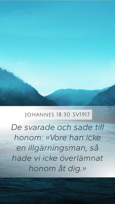 Johannes 18:30 SV1917 Bible Verse Image