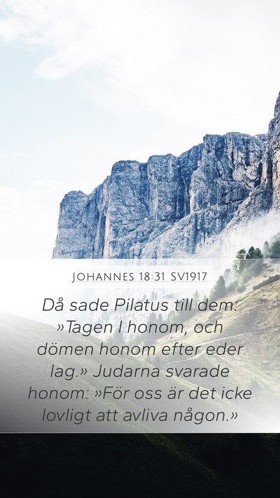 Johannes 18:31 SV1917 Bible Verse Image