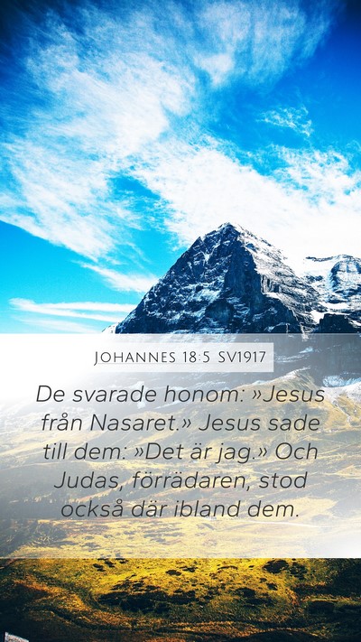 Johannes 18:5 SV1917 Bible Verse Image