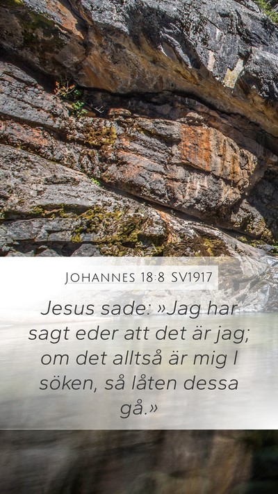 Johannes 18:8 SV1917 Bible Verse Image