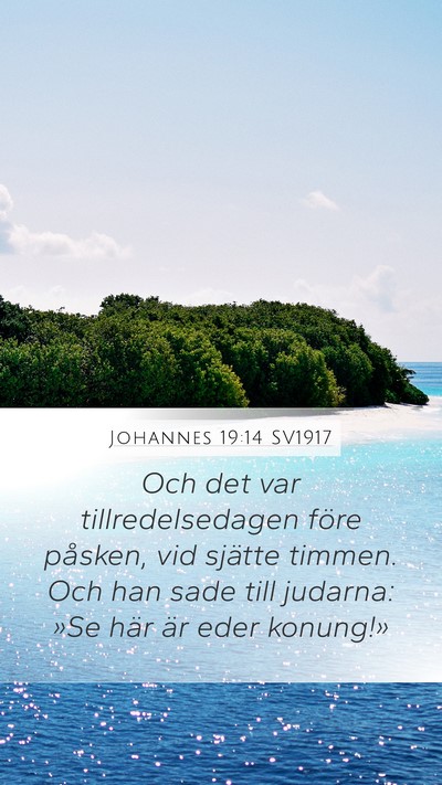 Johannes 19:14 SV1917 Bible Verse Image