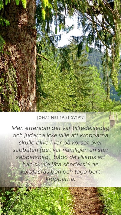 Johannes 19:31 SV1917 Bible Verse Image