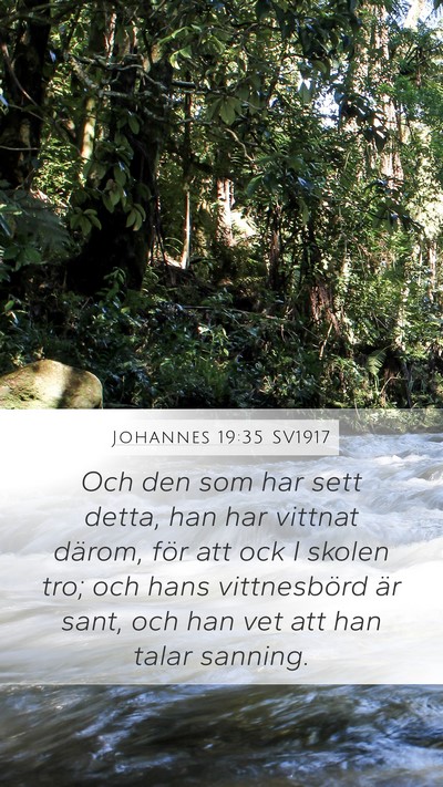 Johannes 19:35 SV1917 Bible Verse Image