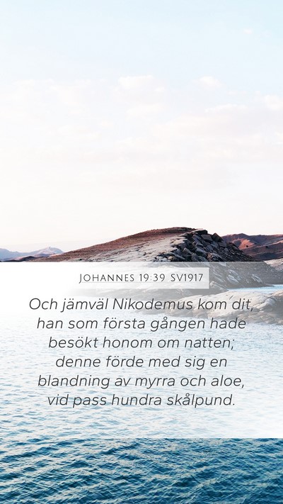 Johannes 19:39 SV1917 Bible Verse Image
