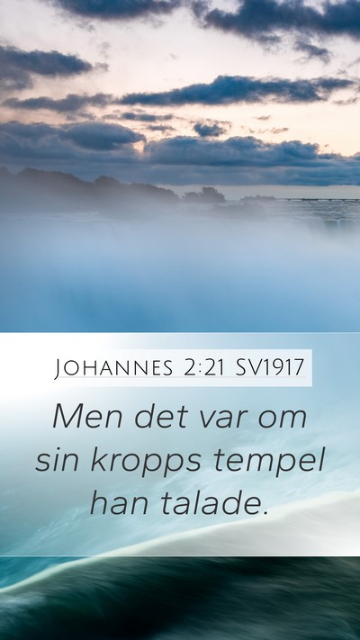 Johannes 2:21 SV1917 Bible Verse Image