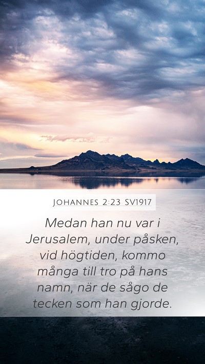 Johannes 2:23 SV1917 Bible Verse Image