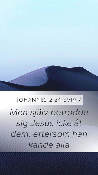 Johannes 2:24 SV1917 Bible Verse Image
