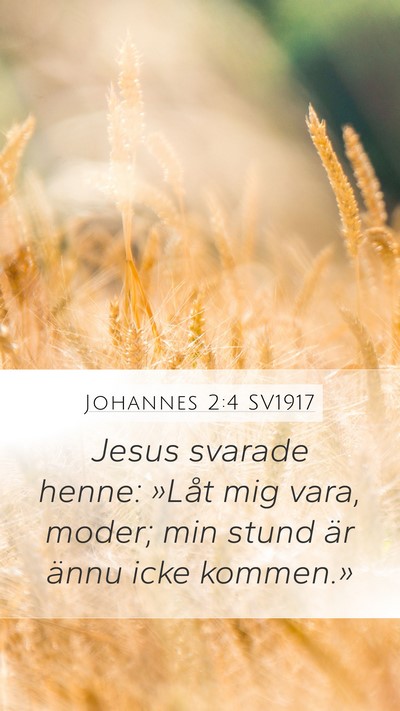 Johannes 2:4 SV1917 Bible Verse Image