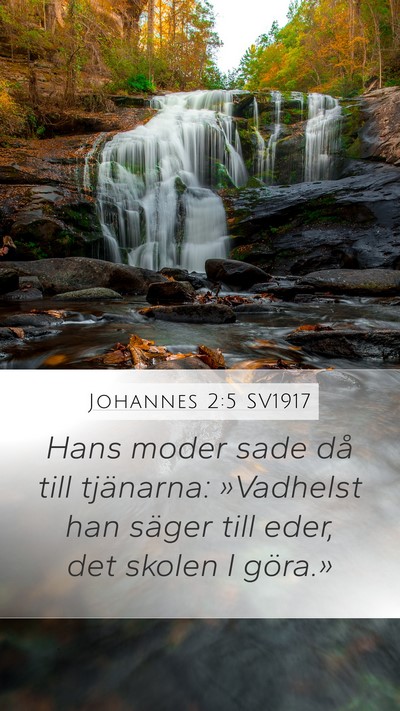 Johannes 2:5 SV1917 Bible Verse Image