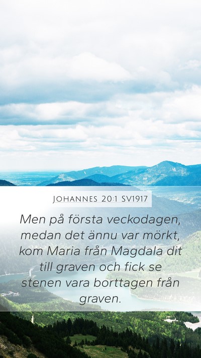Johannes 20:1 SV1917 Bible Verse Image