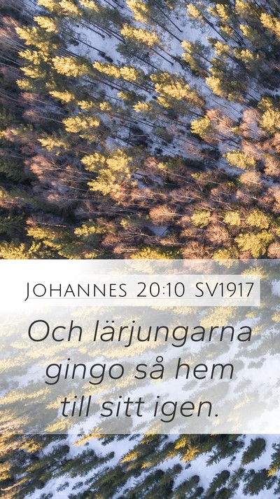 Johannes 20:10 SV1917 Mobile Phone Wallpaper - Och lärjungarna gingo så hem till sitt - Mobile Bible Verse Wallpaper