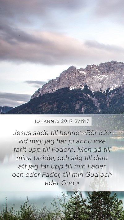 Johannes 20:17 SV1917 Bible Verse Image