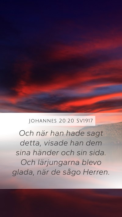 Johannes 20:20 SV1917 Bible Verse Image