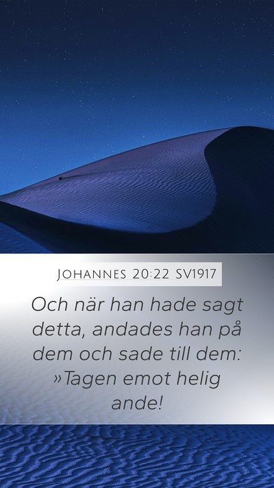 Johannes 20:22 SV1917 Bible Verse Image