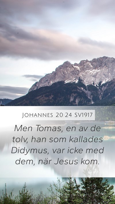 Johannes 20:24 SV1917 Bible Verse Image