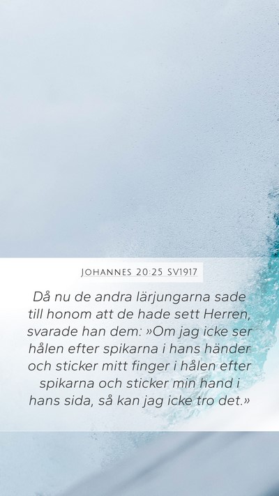 Johannes 20:25 SV1917 Bible Verse Image