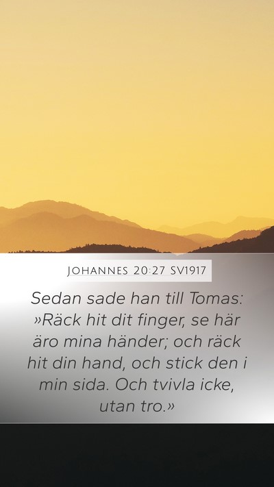 Johannes 20:27 SV1917 Bible Verse Image