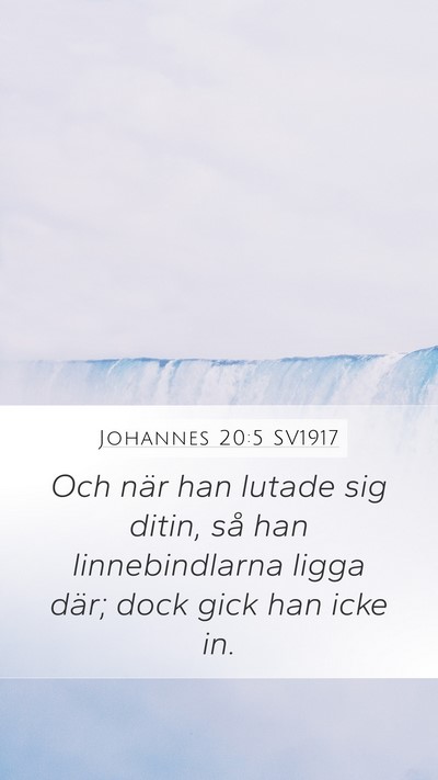 Johannes 20:5 SV1917 Mobile Phone Wallpaper - Och när han lutade sig ditin, så han - Mobile Bible Verse Wallpaper