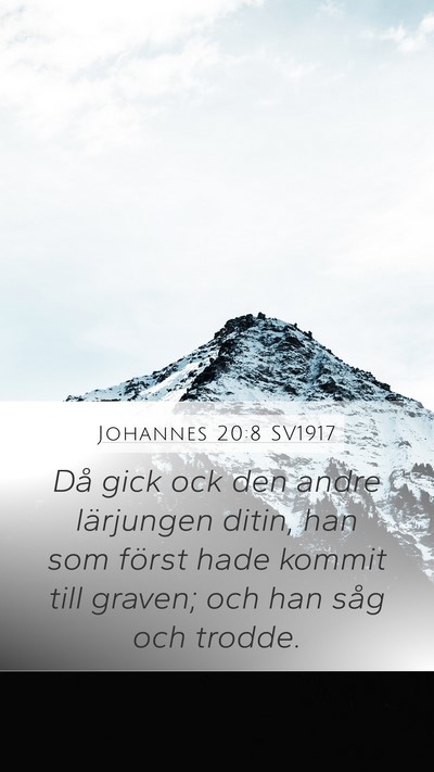 Johannes 20:8 SV1917 Bible Verse Image