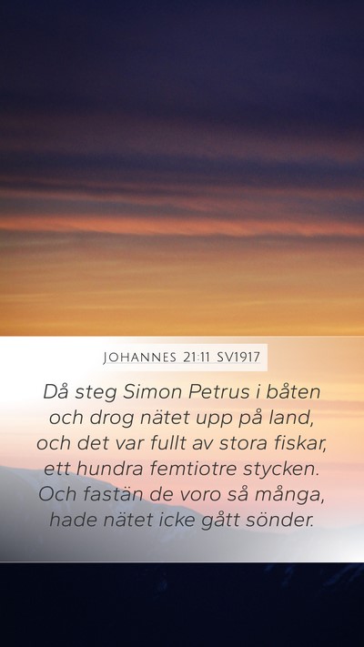 Johannes 21:11 SV1917 Mobile Phone Wallpaper - Då steg Simon Petrus i båten och drog nätet - Mobile Bible Verse Wallpaper