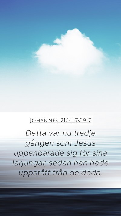 Johannes 21:14 SV1917 Bible Verse Image
