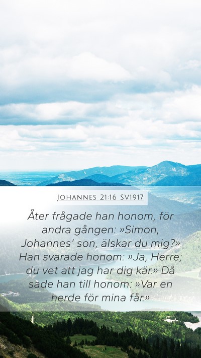 Johannes 21:16 SV1917 Mobile Phone Wallpaper - Åter frågade han honom, för andra gången: - Mobile Bible Verse Wallpaper