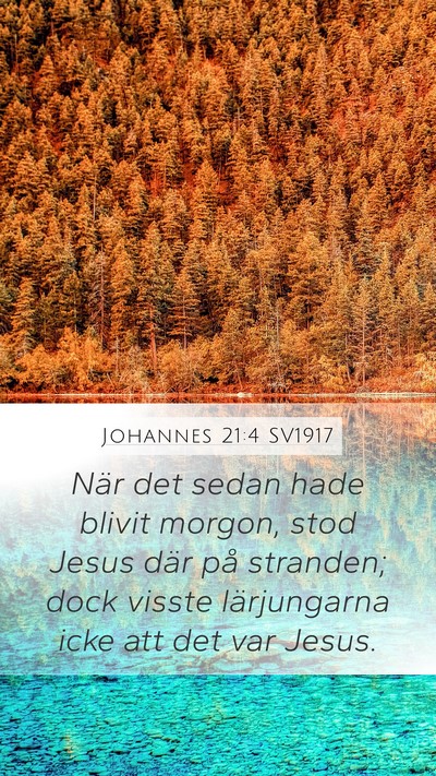 Johannes 21:4 SV1917 Bible Verse Image