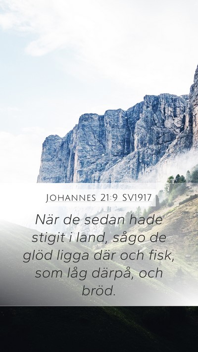 Johannes 21:9 SV1917 Bible Verse Image