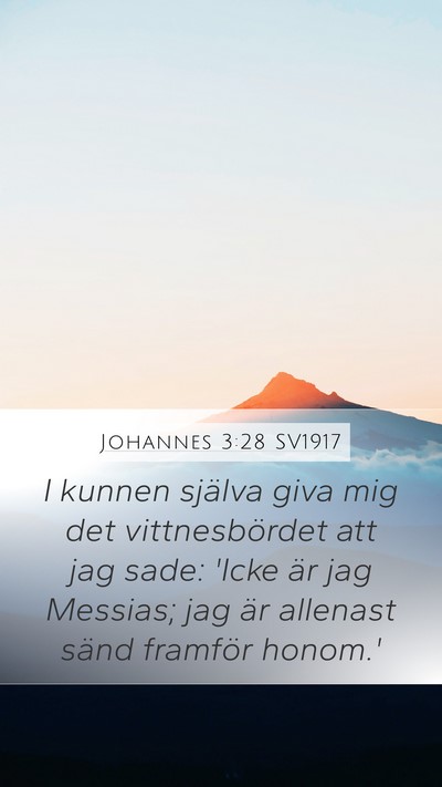 Johannes 3:28 SV1917 Bible Verse Image