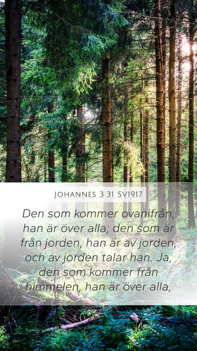 Johannes 3:31 SV1917 Bible Verse Image