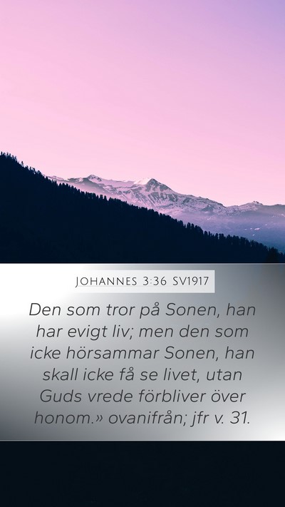 Johannes 3:36 SV1917 Bible Verse Image