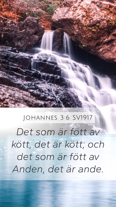 Johannes 3:6 SV1917 Bible Verse Image