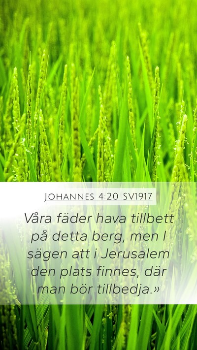 Johannes 4:20 SV1917 Mobile Phone Wallpaper - Våra fäder hava tillbett på detta berg, men I - Mobile Bible Verse Wallpaper