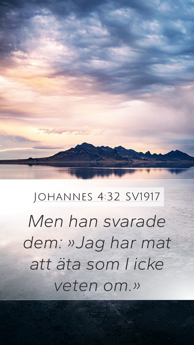 Johannes 4:32 SV1917 Mobile Phone Wallpaper - Men han svarade dem: »Jag har mat att äta som I - Mobile Bible Verse Wallpaper