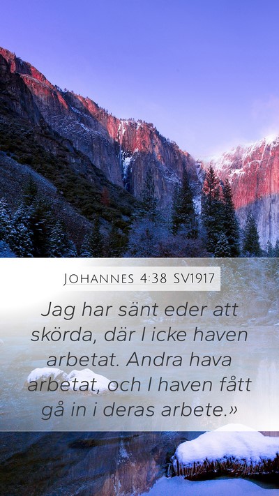Johannes 4:38 SV1917 Mobile Phone Wallpaper - Jag har sänt eder att skörda, där I icke haven - Mobile Bible Verse Wallpaper