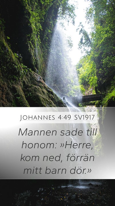 Johannes 4:49 SV1917 Bible Verse Image