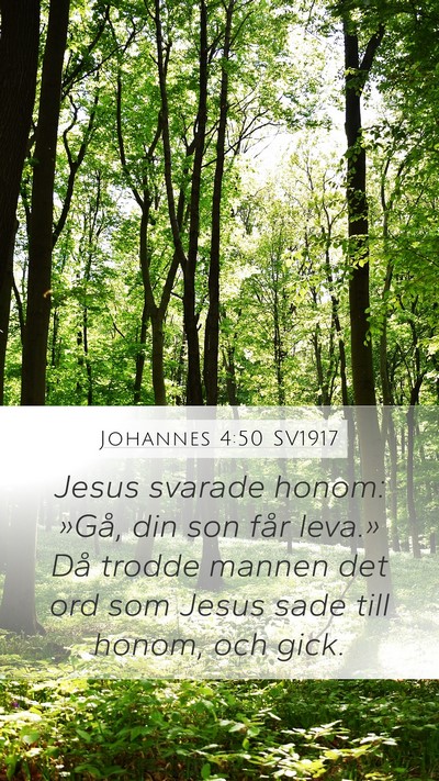 Johannes 4:50 SV1917 Bible Verse Image