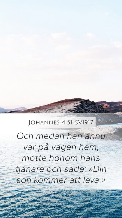 Johannes 4:51 SV1917 Mobile Phone Wallpaper - Och medan han ännu var på vägen hem, mötte - Mobile Bible Verse Wallpaper