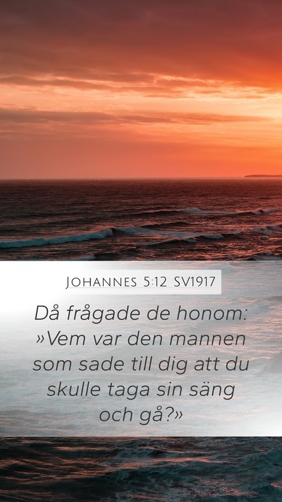 Johannes 5:12 SV1917 Mobile Phone Wallpaper - Då frågade de honom: »Vem var den mannen som - Mobile Bible Verse Wallpaper