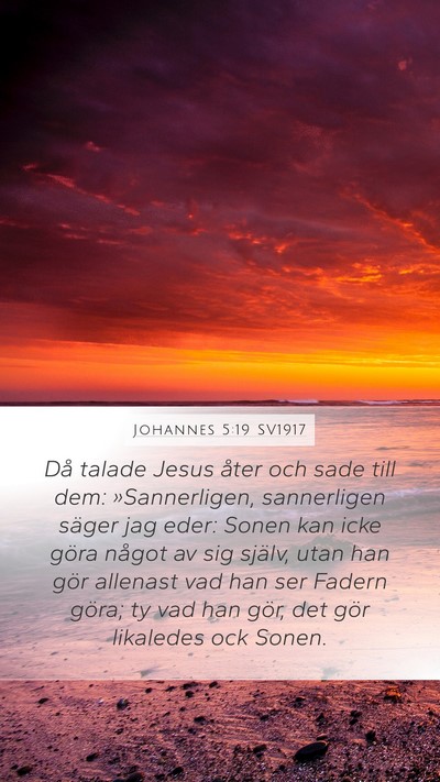 Johannes 5:19 SV1917 Bible Verse Image
